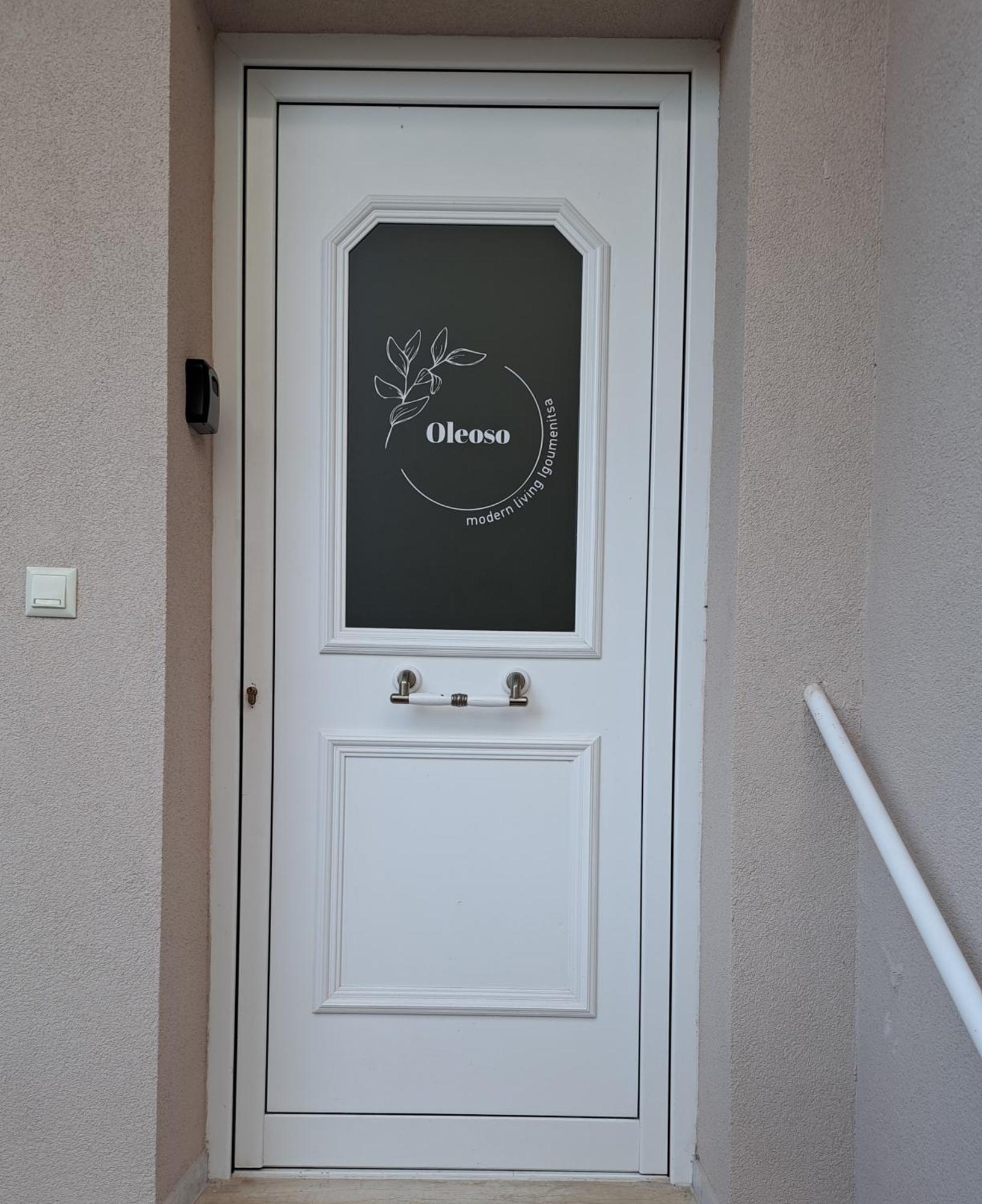 Oleoso Apartment Igoumenitsa Exterior photo